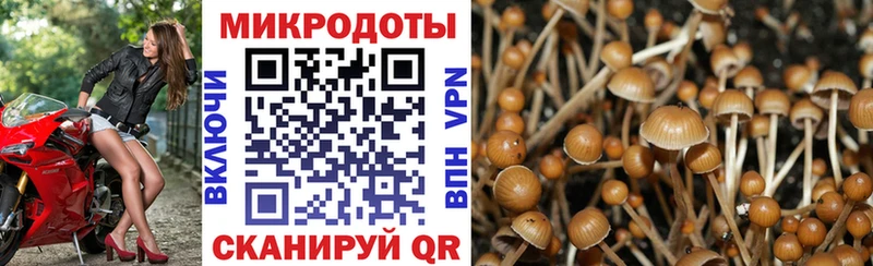 купить наркоту  Самара  Псилоцибиновые грибы мухоморы 